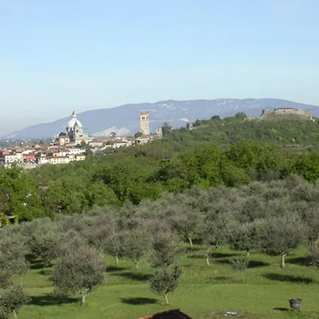 Farm stay Arriga Alta *