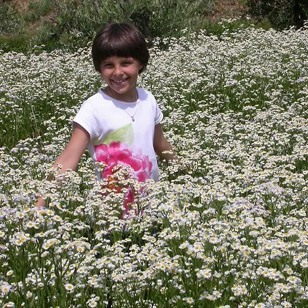 Arriga Alta Farm stay Lonato